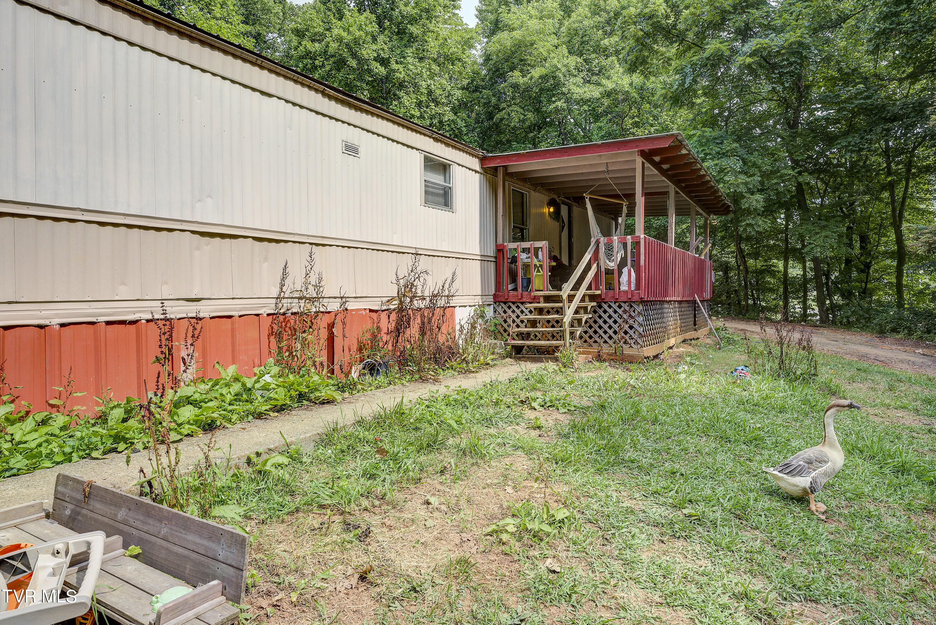 263 Rocky Branch Road, Elizabethton, Tennessee image 3