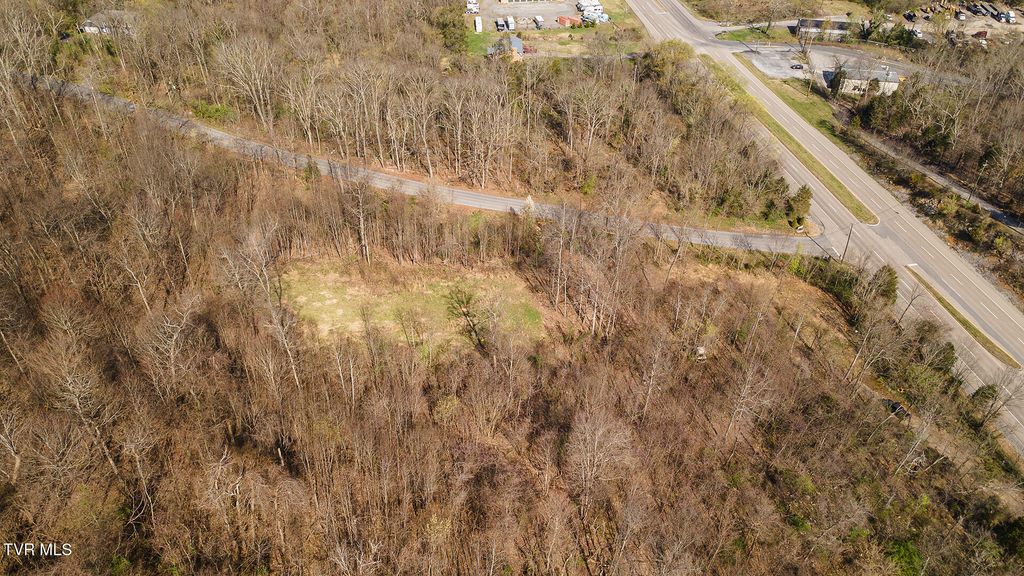 Photo of 1116 Moreland Drive, Kingsport, TN 37664 (MLS # 9992808)