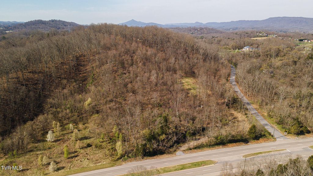 Photo of 1116 Moreland Drive, Kingsport, TN 37664 (MLS # 9992808)