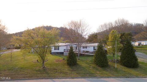 Photo of 62 Roaming Drive Drive, Chuckey, TN 37641 (MLS # 9993171)