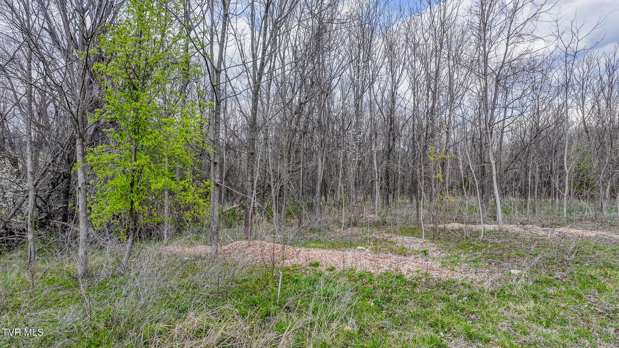 Tbd Berry Ridge Road, Jonesborough, Tennessee image 3