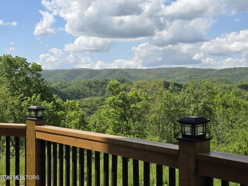 833 Duck Creek Road, Sneedville, Tennessee image 7