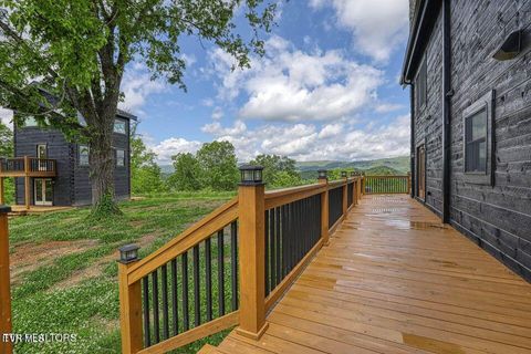 Tiny photo for 833 Duck Creek Road, Sneedville, TN 37869 (MLS # 9980448)