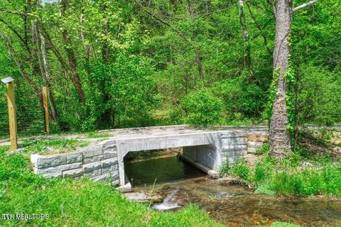 Tiny photo for 833 Duck Creek Road, Sneedville, TN 37869 (MLS # 9980448)