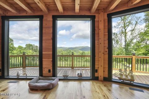 Tiny photo for 833 Duck Creek Road, Sneedville, TN 37869 (MLS # 9980448)