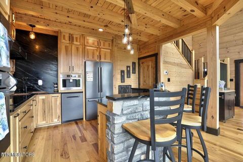 Tiny photo for 833 Duck Creek Road, Sneedville, TN 37869 (MLS # 9980448)