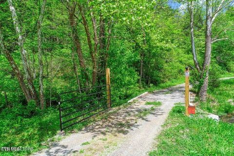 Tiny photo for 833 Duck Creek Road, Sneedville, TN 37869 (MLS # 9980448)