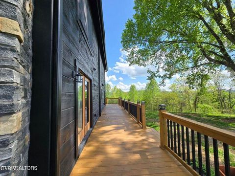 Tiny photo for 833 Duck Creek Road, Sneedville, TN 37869 (MLS # 9980448)