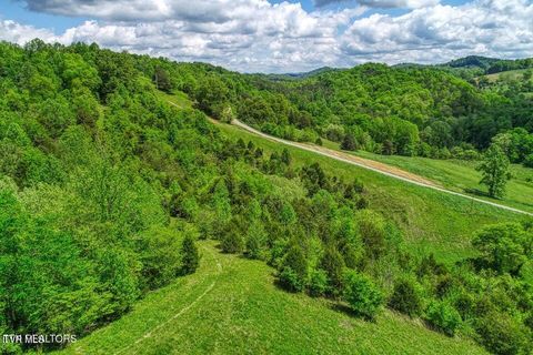 Tiny photo for 833 Duck Creek Road, Sneedville, TN 37869 (MLS # 9980448)
