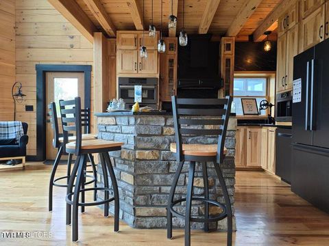 Tiny photo for 833 Duck Creek Road, Sneedville, TN 37869 (MLS # 9980448)