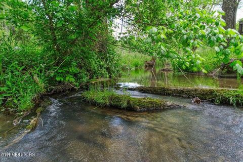 Tiny photo for 833 Duck Creek Road, Sneedville, TN 37869 (MLS # 9980448)