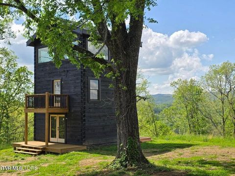 Tiny photo for 833 Duck Creek Road, Sneedville, TN 37869 (MLS # 9980448)