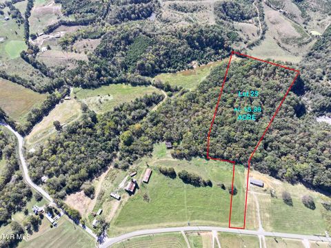 Vacant Land For Sale - LOT 25 Mcdonald Road<br/> Midway, TN 37809
