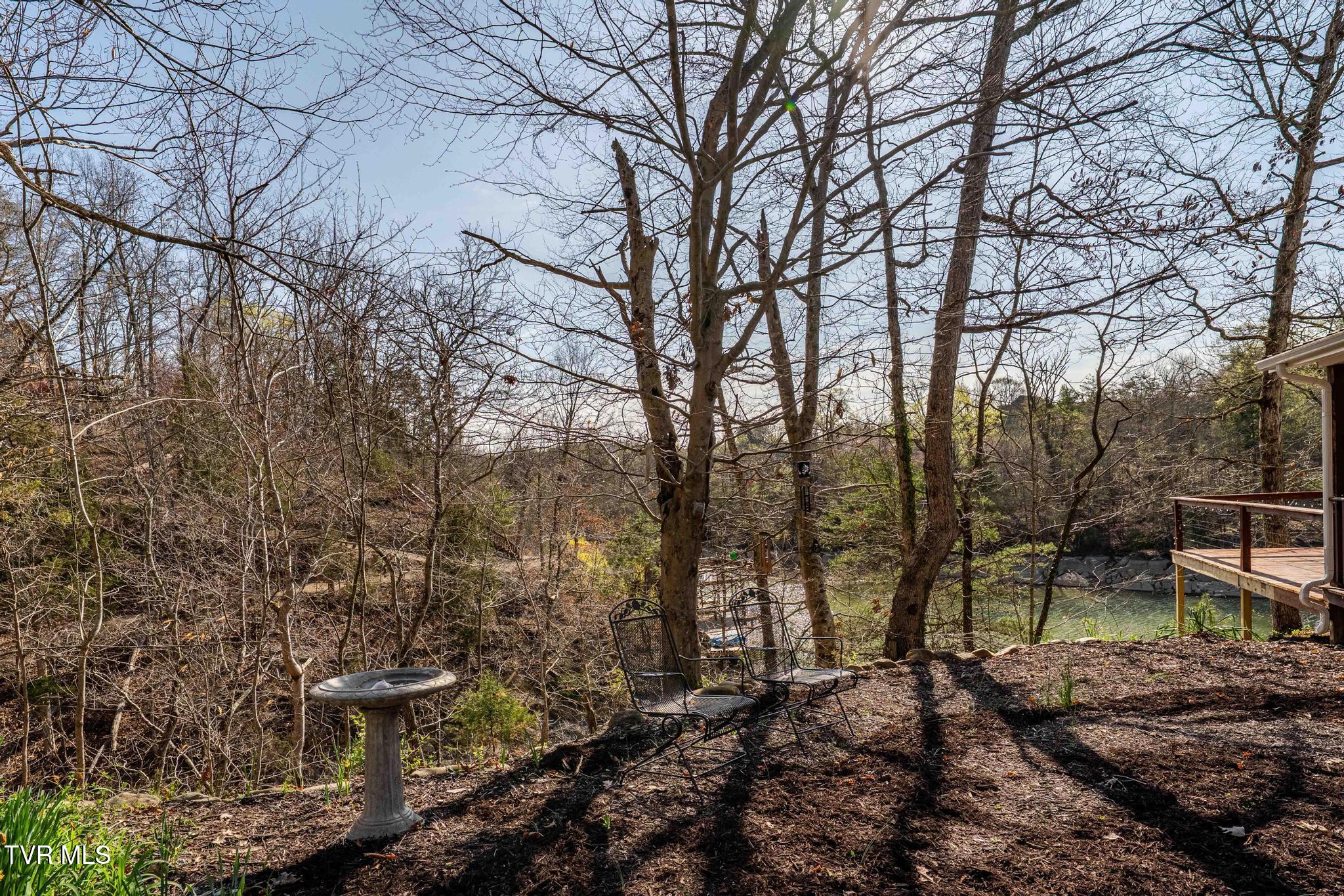 403 Deerlick Road, Piney Flats, Tennessee image 43