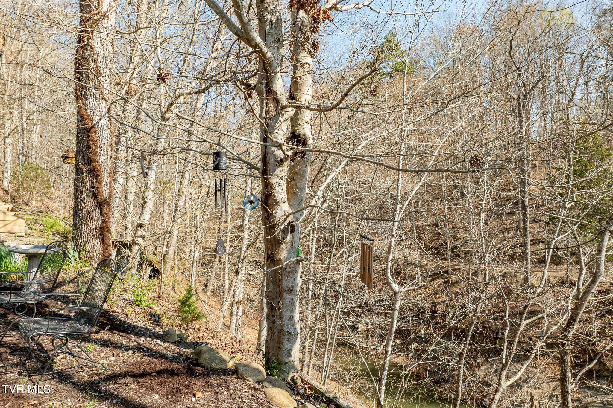 403 Deerlick Road, Piney Flats, Tennessee image 42