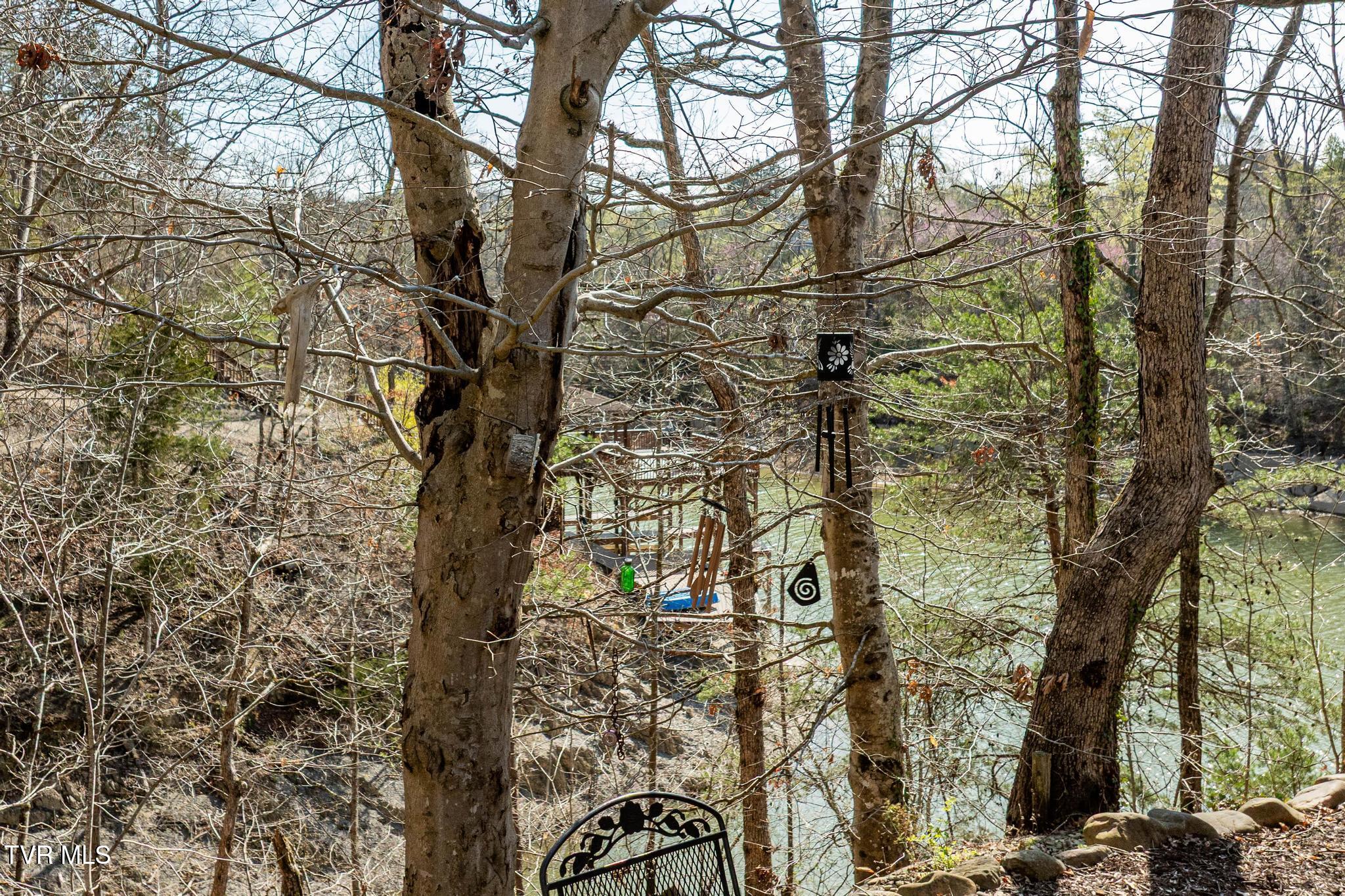 403 Deerlick Road, Piney Flats, Tennessee image 41