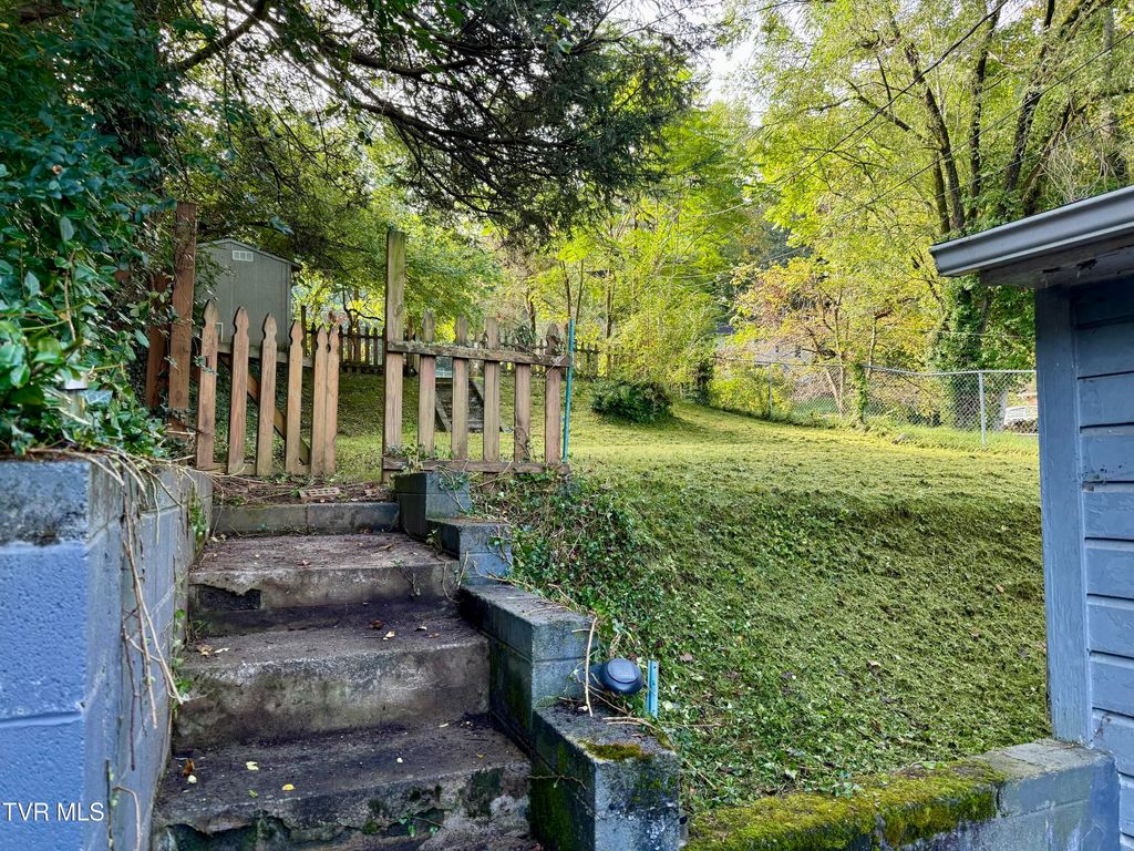 Photo of 433 Poplar Street, Johnson City, TN 37604 (MLS # 9986426)