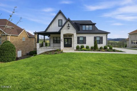 141 Laurel Ridge Drive Jonesborough TN 37659