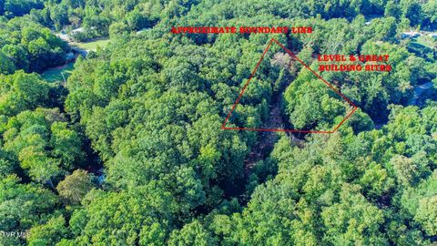 Vacant Land For Sale - 142 Delicious Way Way<br/> Newport, TN 37821
