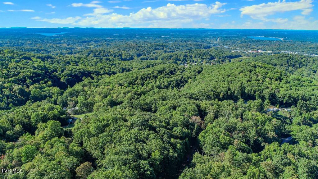 Photo of 142 Delicious Way Way, Newport, TN 37821 (MLS # 9986823)