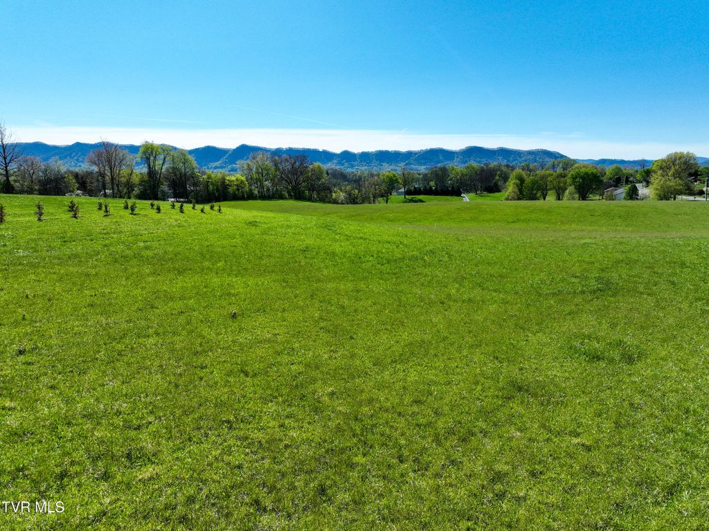 Photo of Tbd Old Embreeville Road, Jonesborough, TN 37659 (MLS # 9993618)