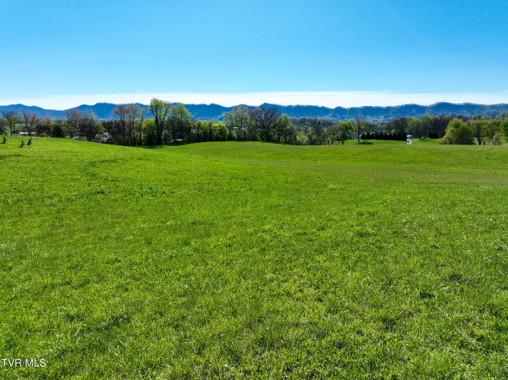 Photo of Tbd Old Embreeville Road, Jonesborough, TN 37659 (MLS # 9993618)