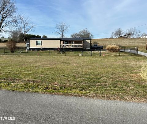 Photo of 45 Chickadee Road, Afton, TN 37616 (MLS # 9989767)