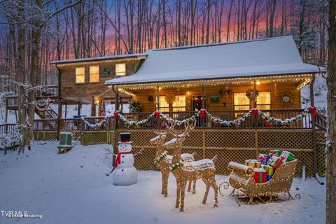 Photo of 2793 Highway 31, Sneedville, TN 37869 (MLS # 9989164)