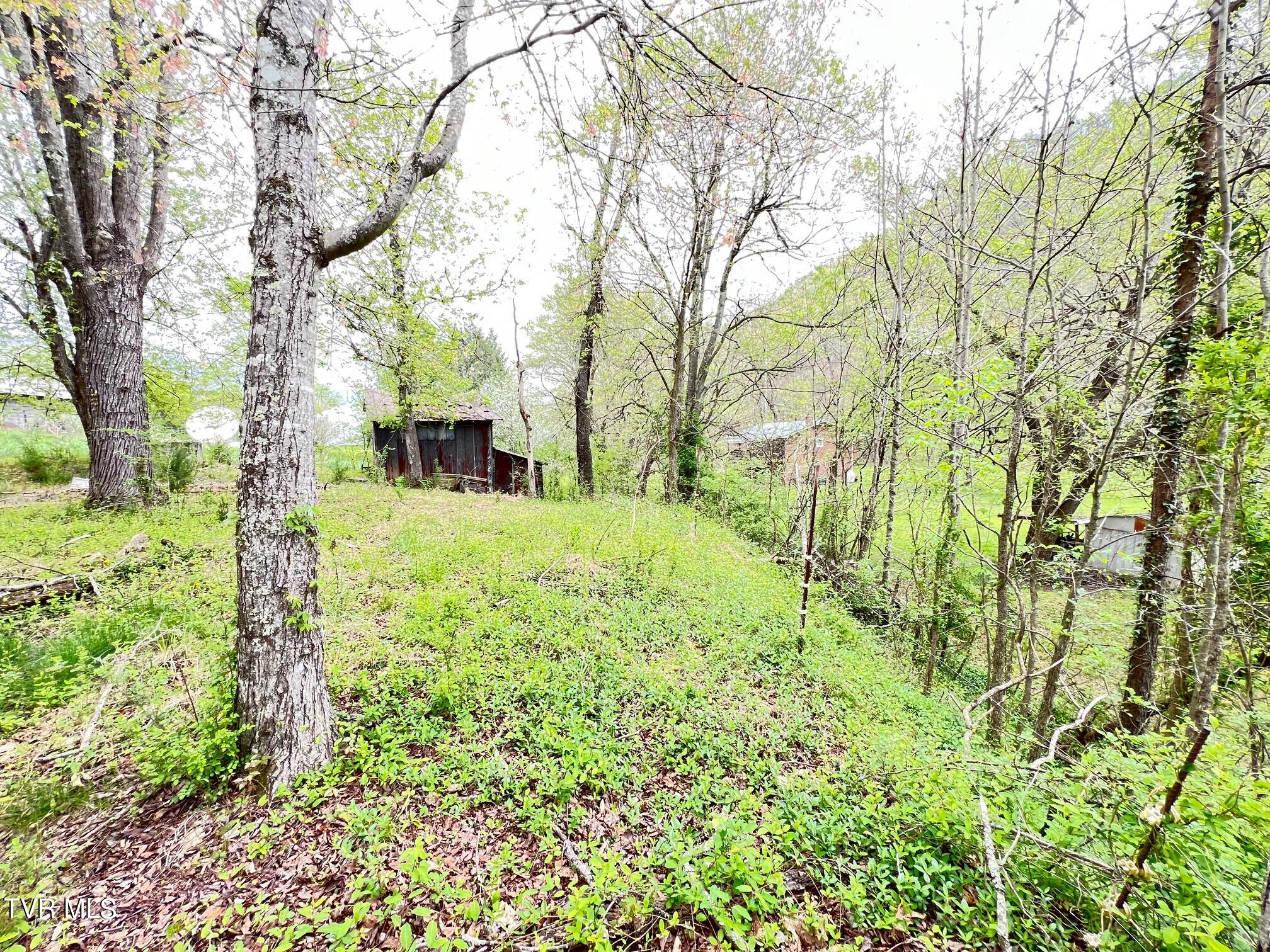 Tbd Golden Drive, Gate City, Virginia image 16