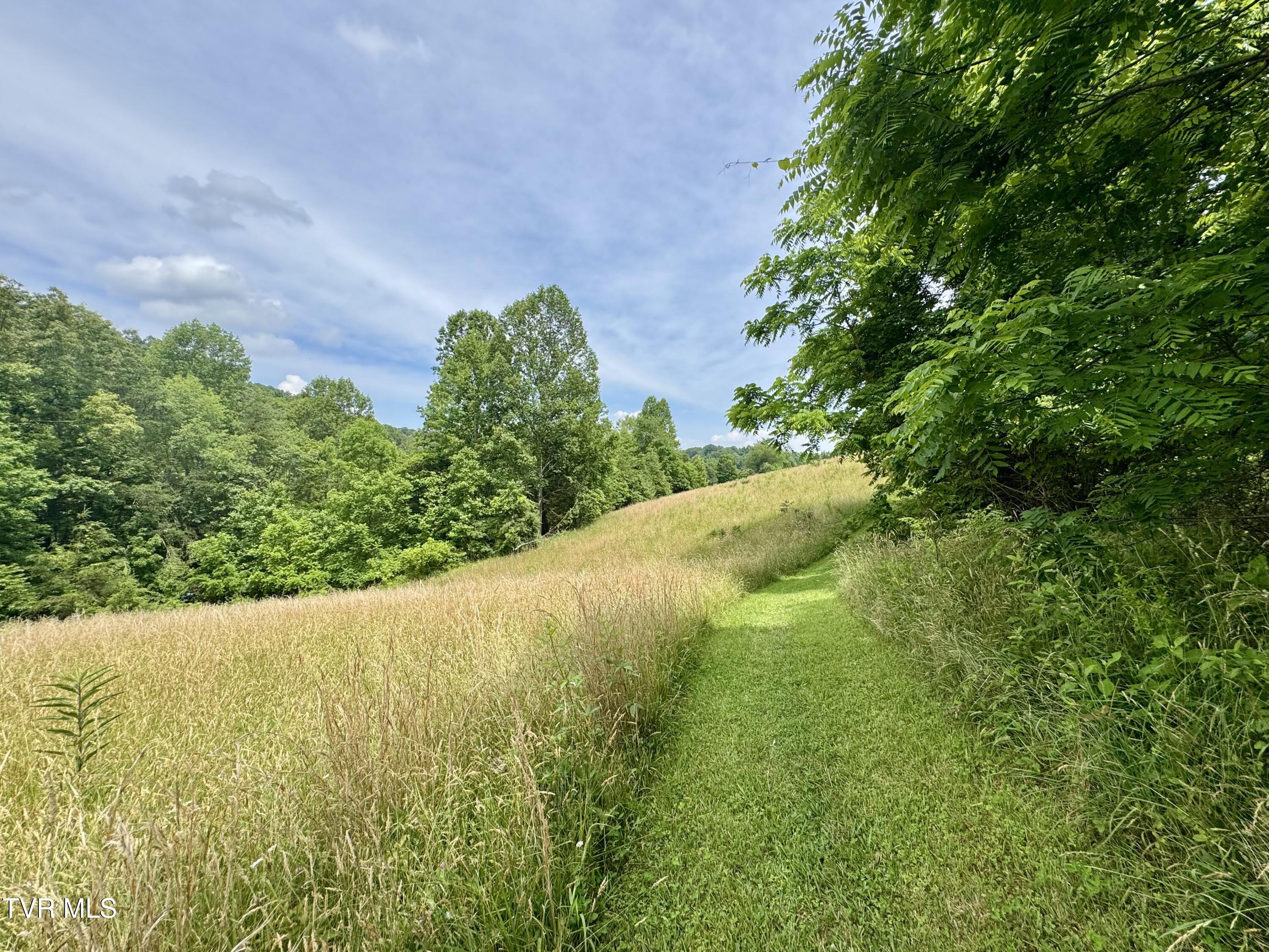 Lot 1 Country Drive, Kingsport, Tennessee image 6
