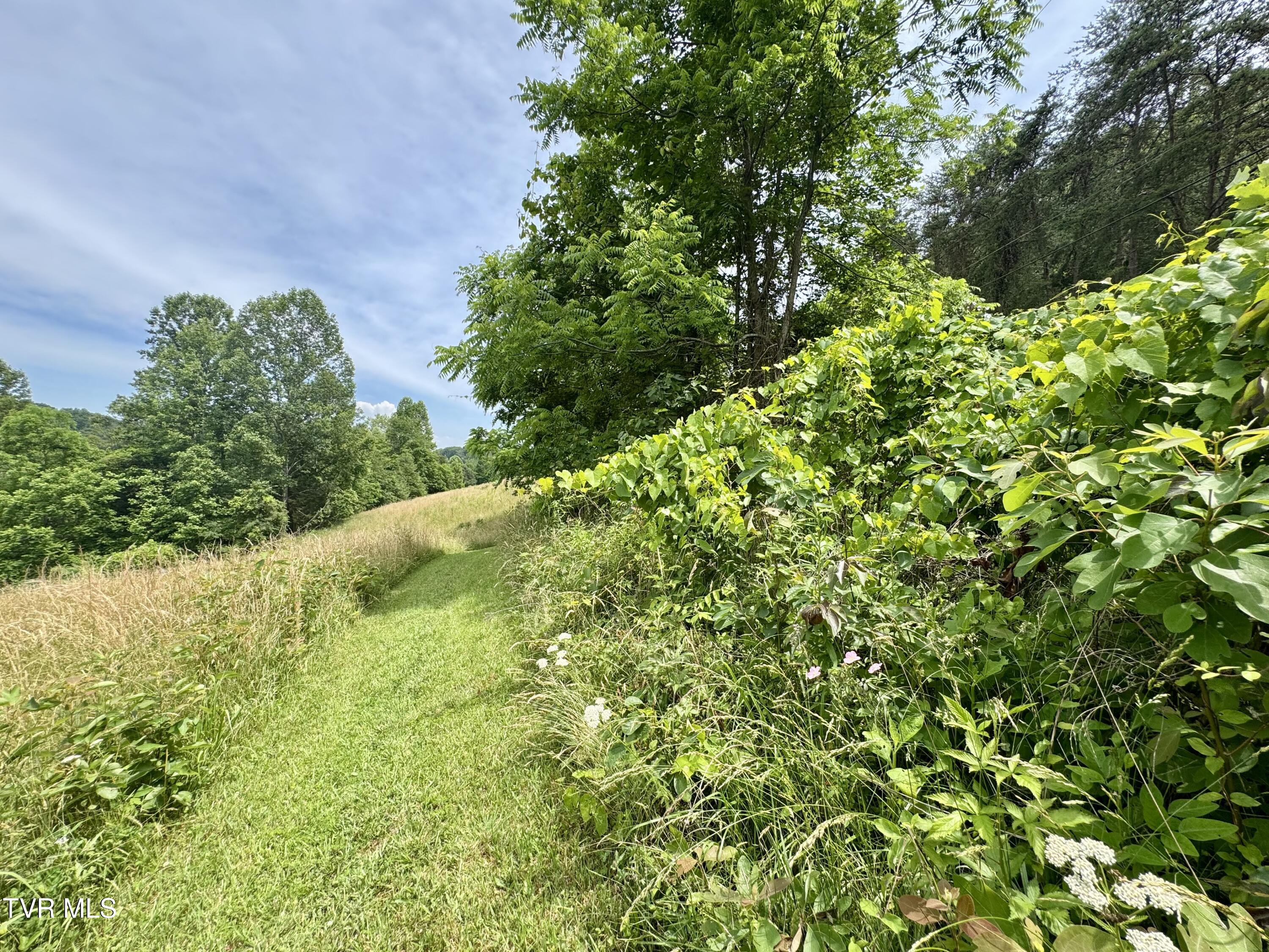 Lot 1 Country Drive, Kingsport, Tennessee image 3