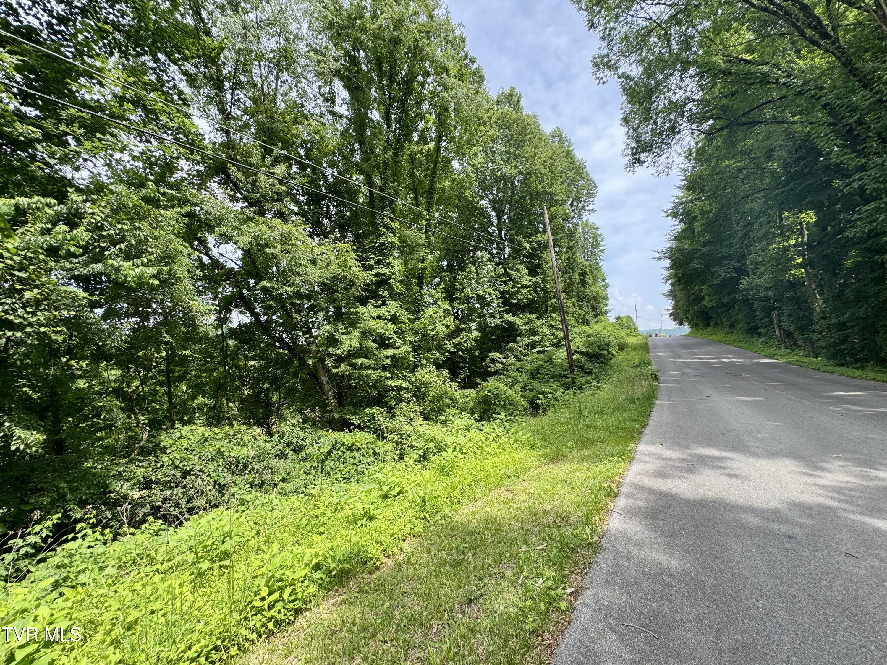 Lot 1 Country Drive, Kingsport, Tennessee image 9