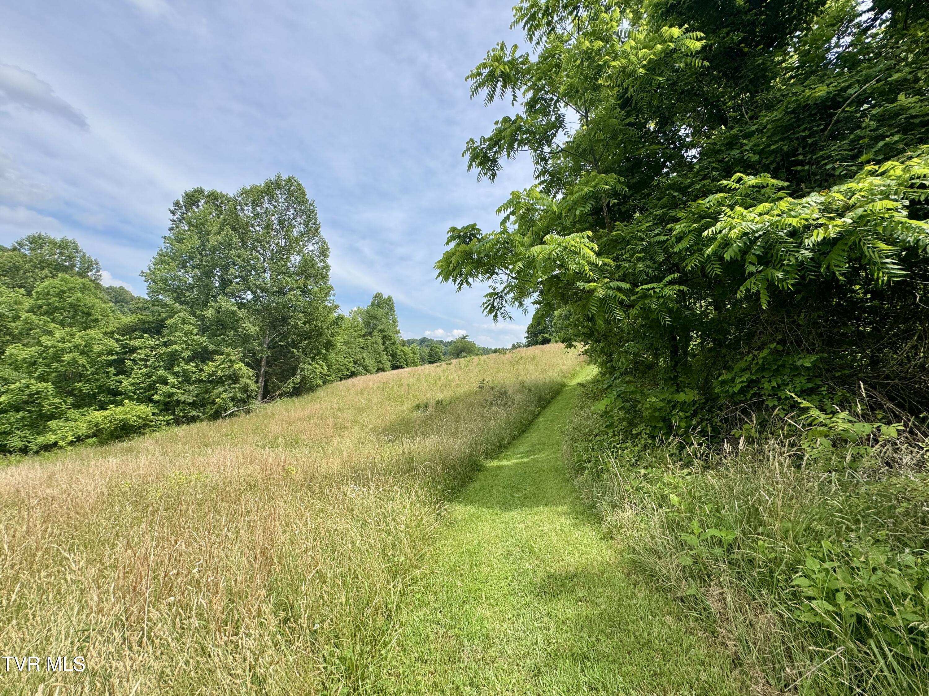 Lot 1 Country Drive, Kingsport, Tennessee image 4