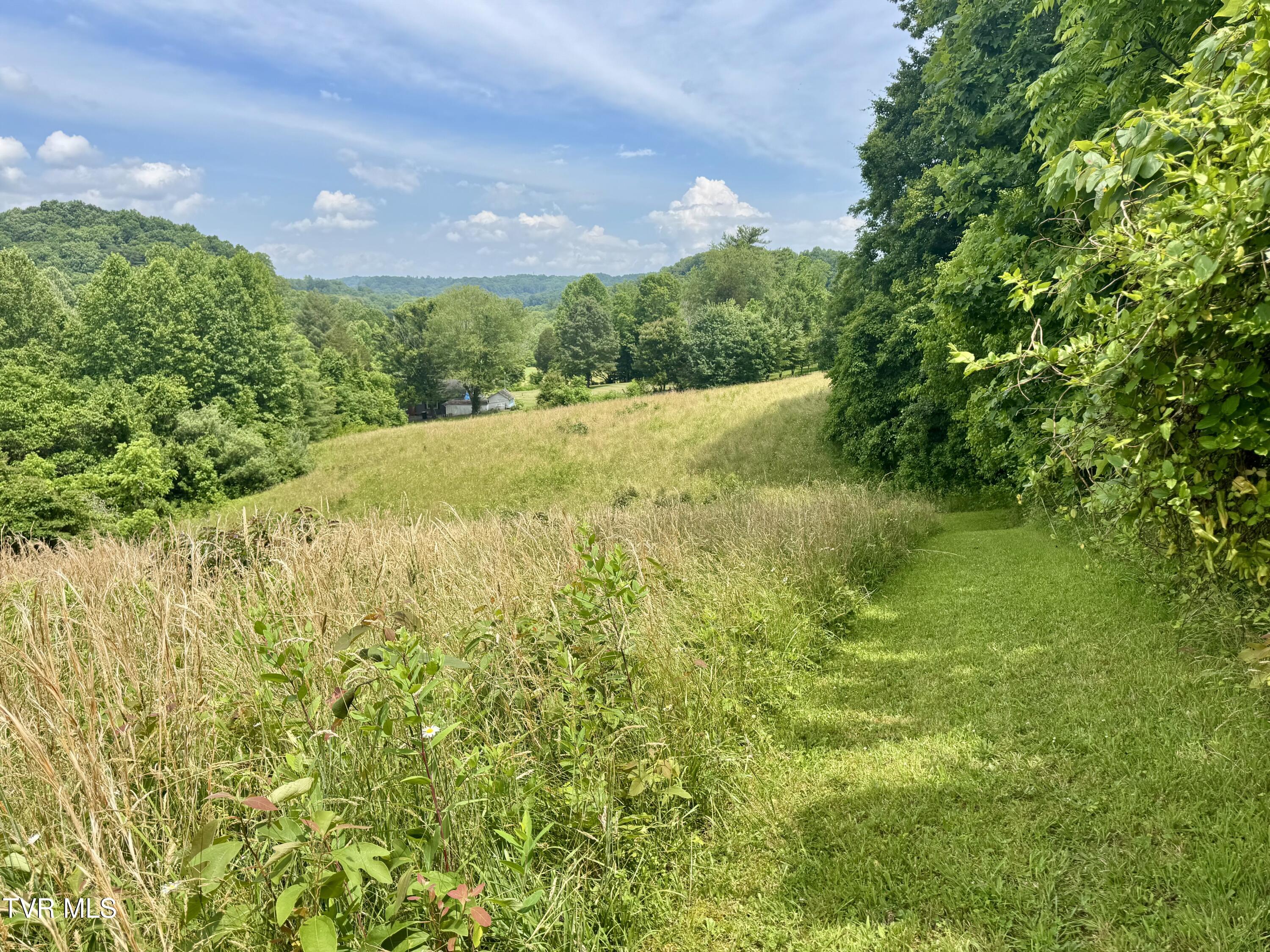 Lot 1 Country Drive, Kingsport, Tennessee image 11