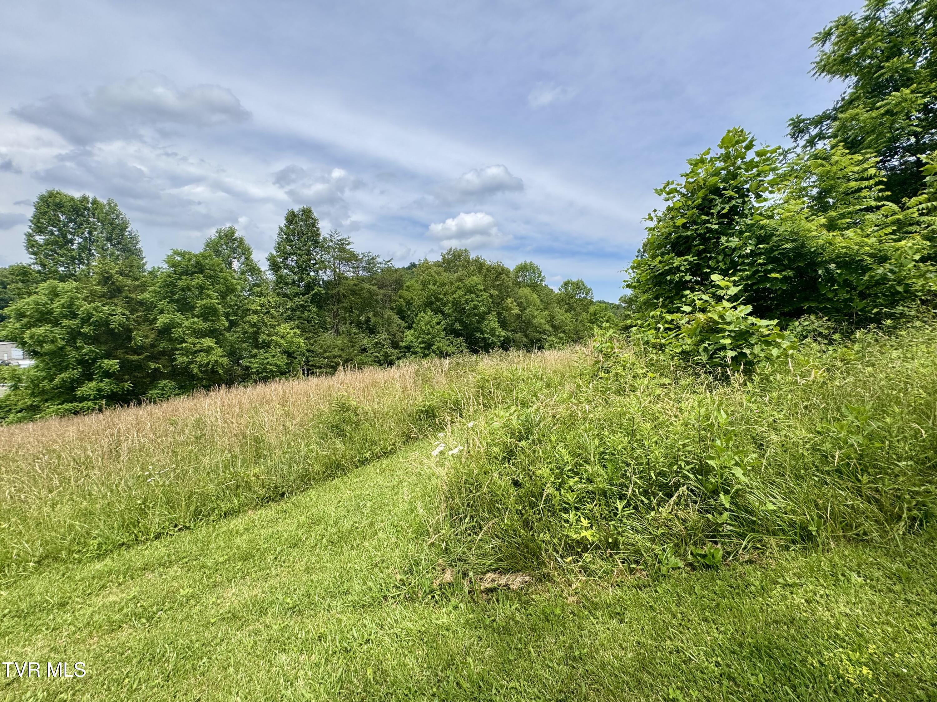 Lot 1 Country Drive, Kingsport, Tennessee image 2