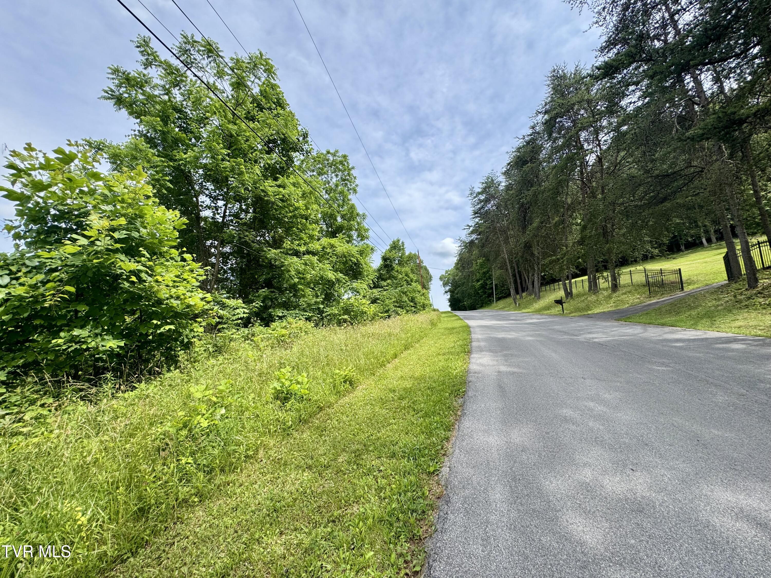 Lot 1 Country Drive, Kingsport, Tennessee image 8
