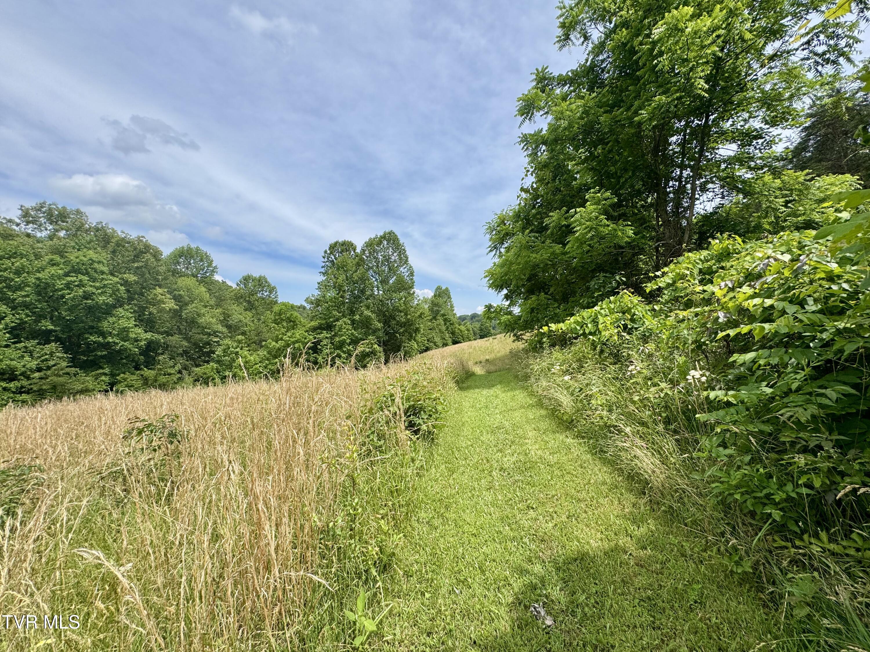 Lot 1 Country Drive, Kingsport, Tennessee image 7