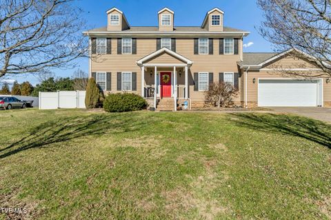 Photo of 308 Autumn Circle, Bluff City, TN 37618 (MLS # 9989559)