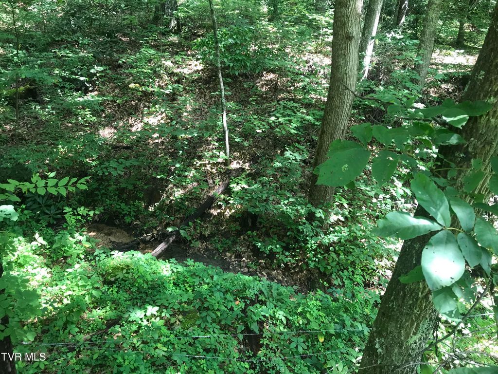 Photo of 0000 Allen Lane Lane, Greeneville, TN 37743 (MLS # 9989487)