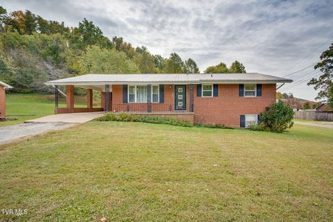 Photo of 1006 Sylvan Circle, Greeneville, TN 37745 (MLS # 9987392)
