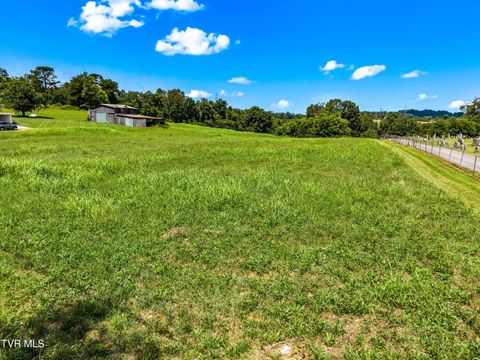 Vacant Land For Sale - 6899 Beacon Light Road<br/> Whitesburg, TN 37891