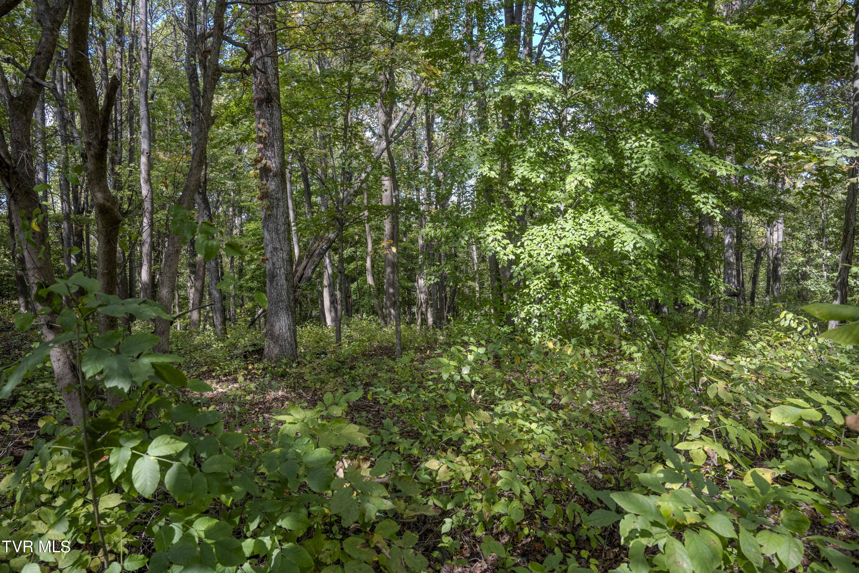 Lot 68 Wood Land Circle, Lebanon, Virginia image 6