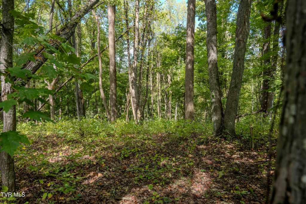Photo of 68 Wood Land Circle, Lebanon, VA 24266 (MLS # 9972216)