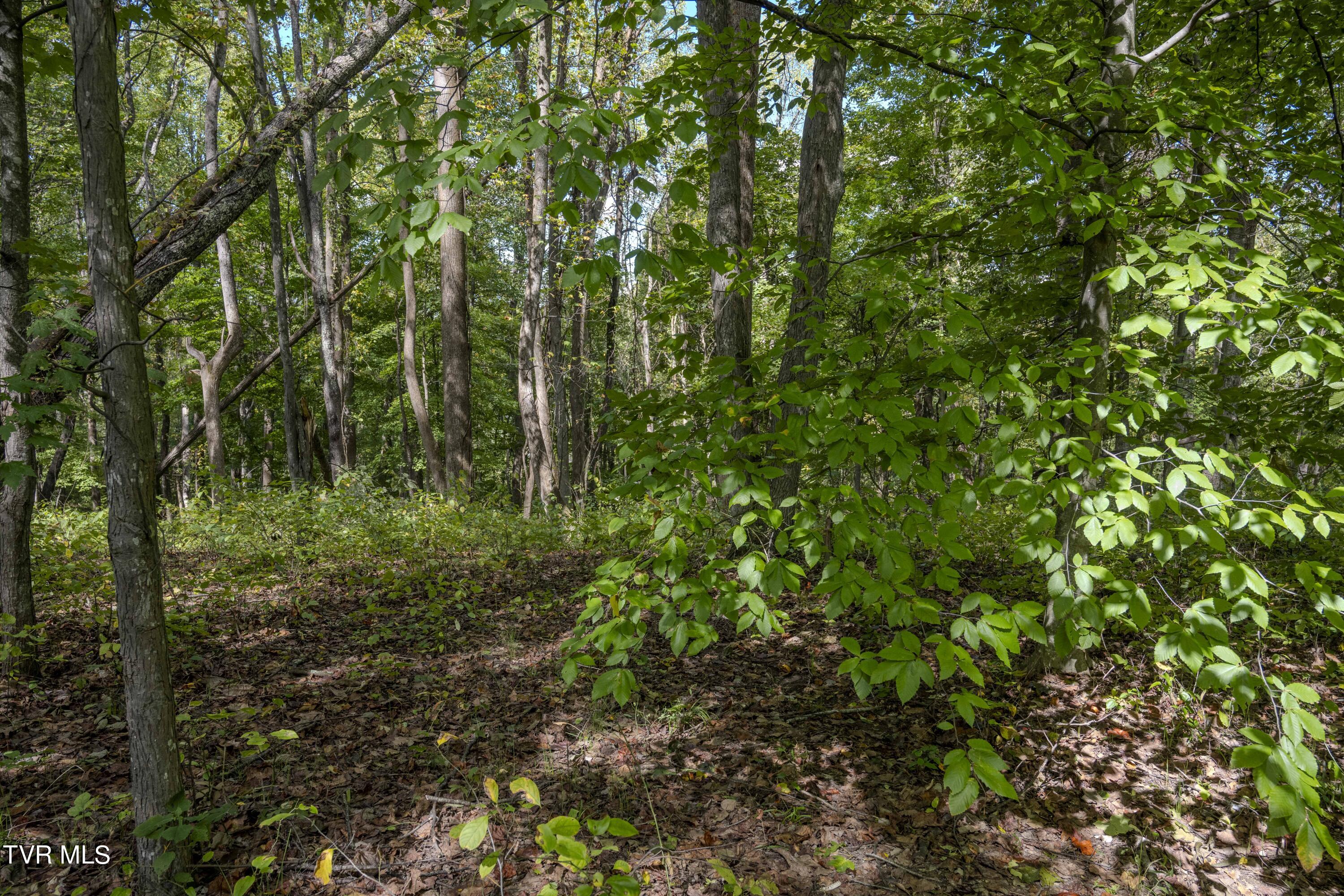 Lot 68 Wood Land Circle, Lebanon, Virginia image 5