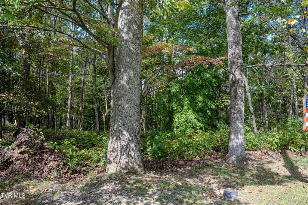 Photo of 68 Wood Land Circle, Lebanon, VA 24266 (MLS # 9972216)