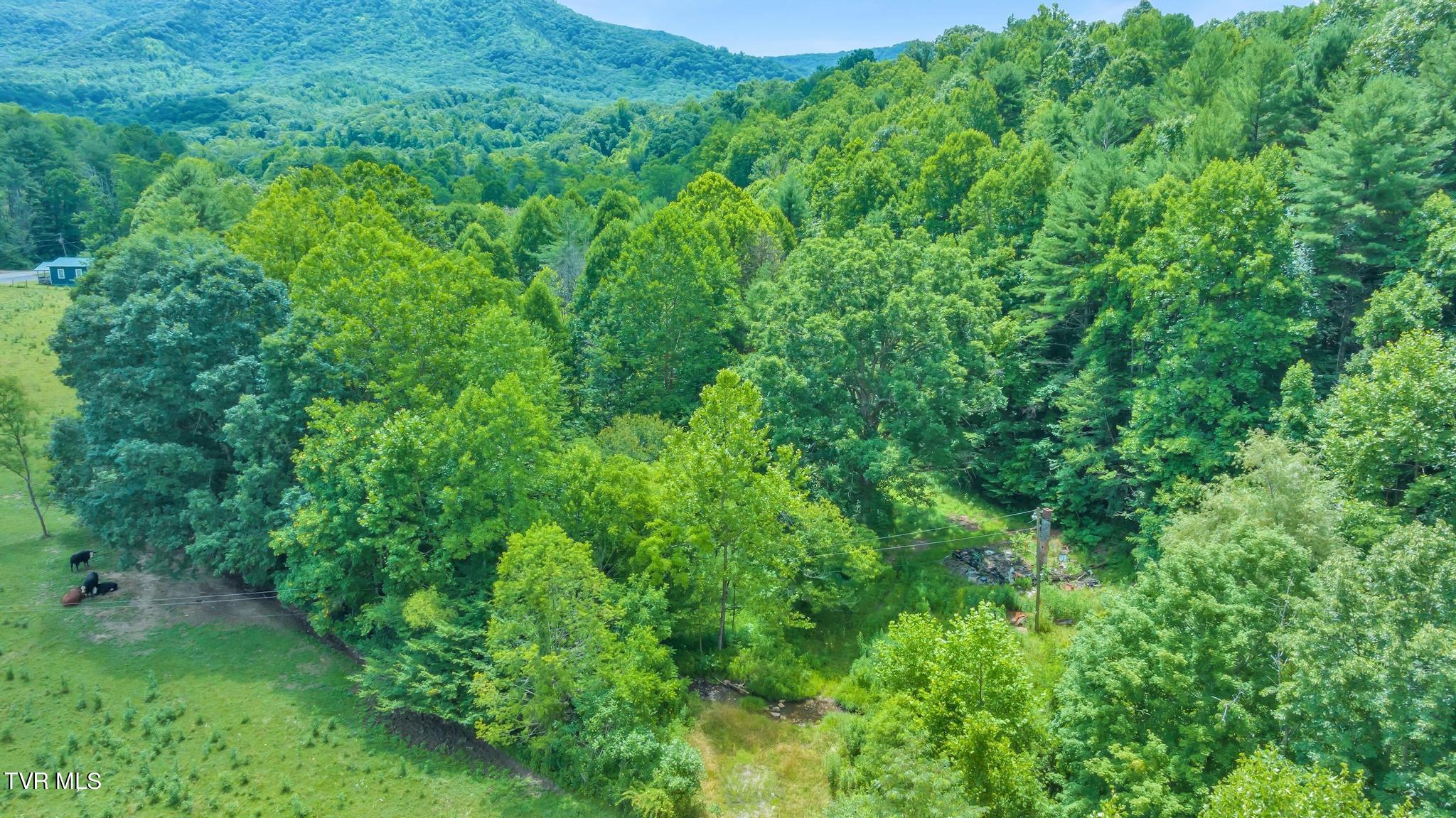 726 Wyatt Hollow Road, Bristol, Tennessee image 11