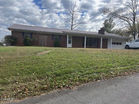 Photo of 320 Hill Crest Street, Greeneville, TN 37743 (MLS # 9987861)
