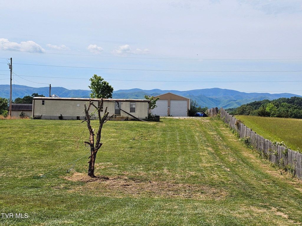 Photo of 223 Tweed Road, Limestone, TN 37681 (MLS # 9994889)