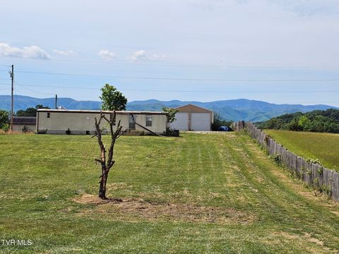 Photo of 223 Tweed Road, Limestone, TN 37681 (MLS # 9994889)