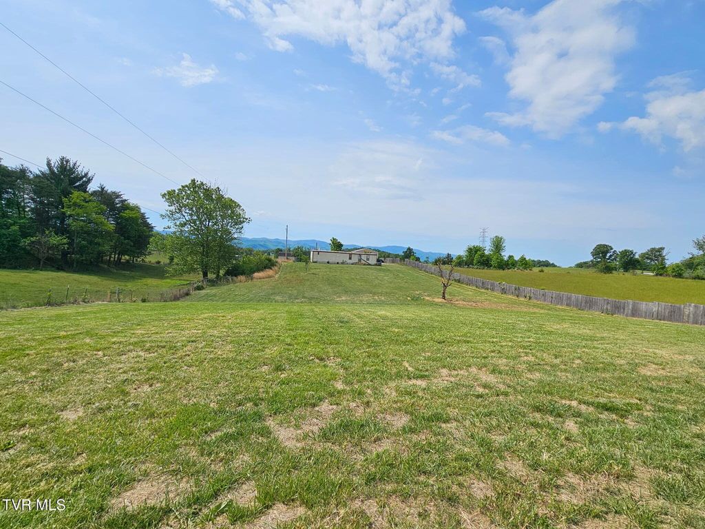 Photo of 223 Tweed Road, Limestone, TN 37681 (MLS # 9994889)